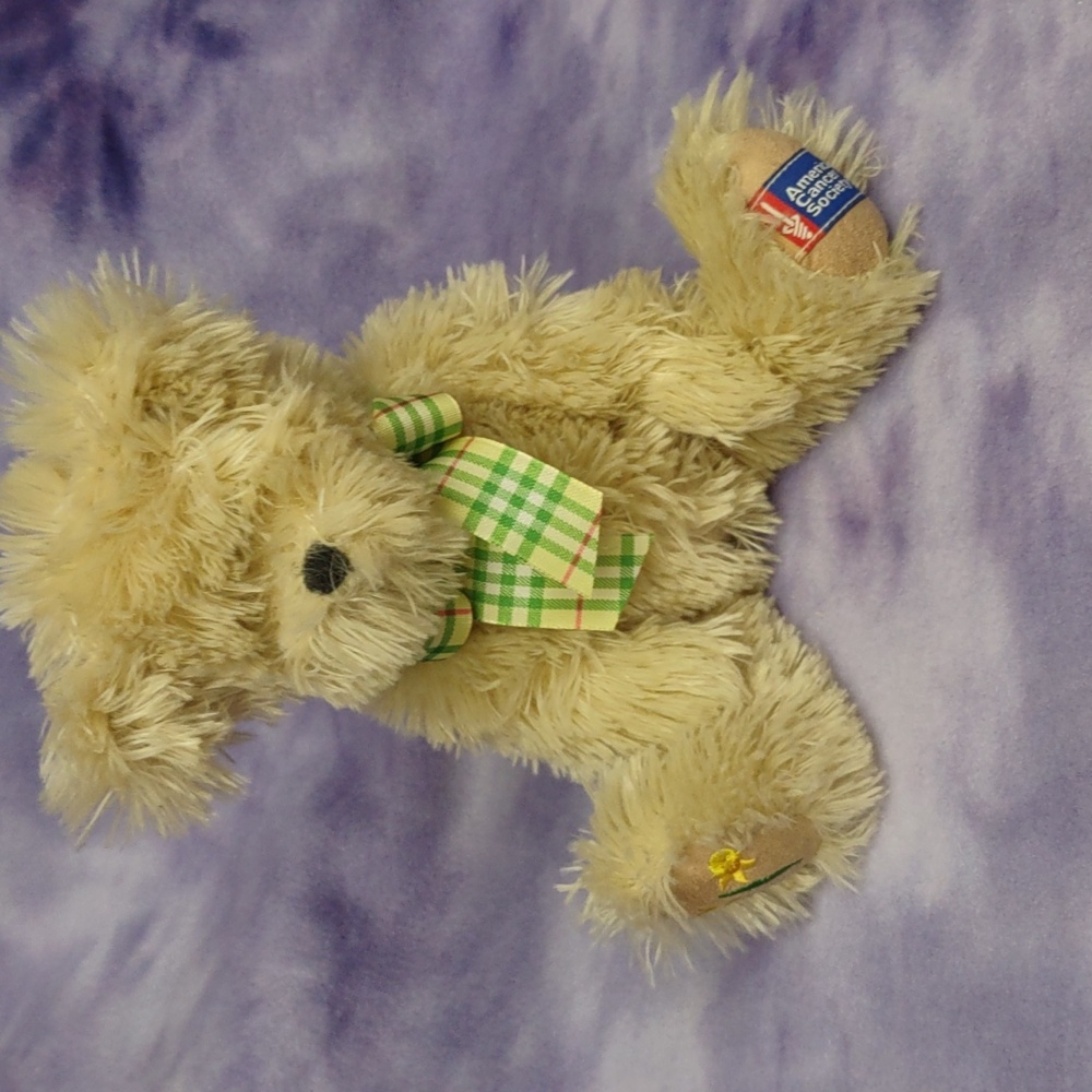 Boyds Bear Daffodil Days Collection American Cancer Society - 2005